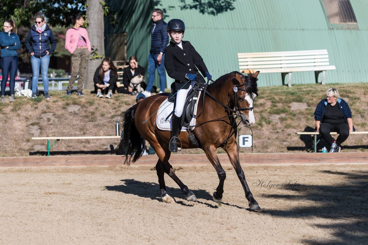 Bild 90 - Pony Akademie Turnier